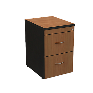 2 Drawer cabinet (letter) 19 x 24 x 29" Volt